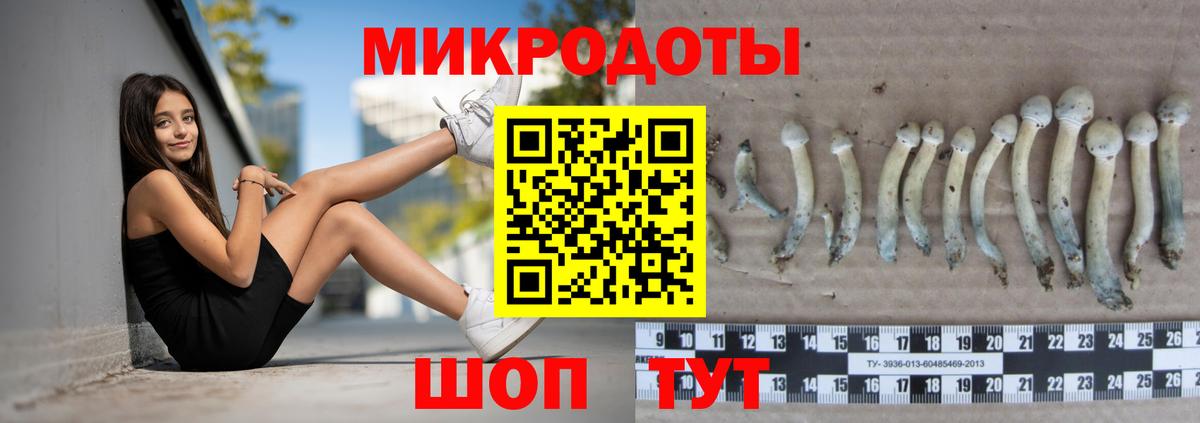 Кумертау  Галлюциногенные грибы Psilocybine cubensis  Вход с VPN  Галлюциногенные грибы мухоморы 